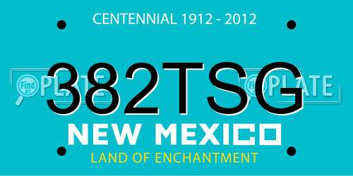 382TSG New Mexico License Plate