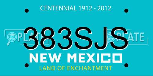 383SJS New Mexico License Plate