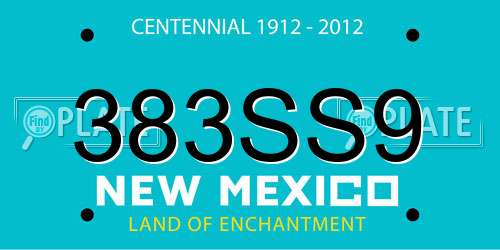 383SS9 New Mexico License Plate