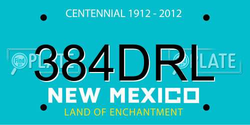 384DRL New Mexico License Plate