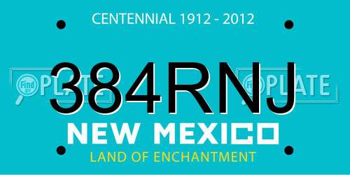 384RNJ New Mexico License Plate
