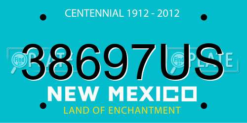 38697US New Mexico License Plate