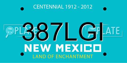 387LGI New Mexico License Plate