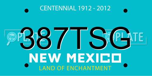 387TSG New Mexico License Plate