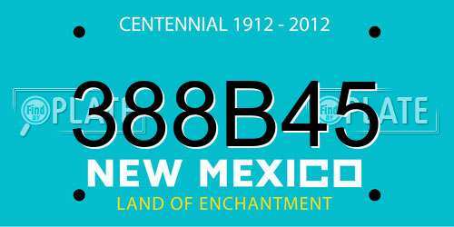 388B45 New Mexico License Plate