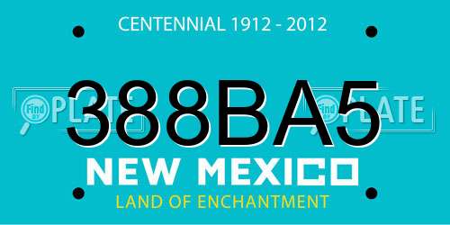 388BA5 New Mexico License Plate