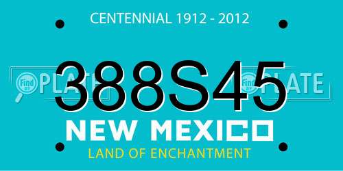 388S45 New Mexico License Plate