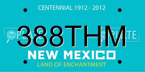 388THM New Mexico License Plate