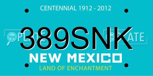 389SNK New Mexico License Plate