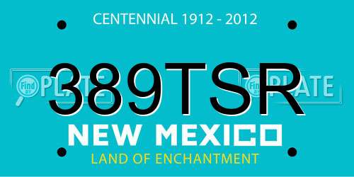 389TSR New Mexico License Plate