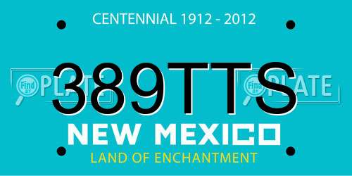 389TTS New Mexico License Plate