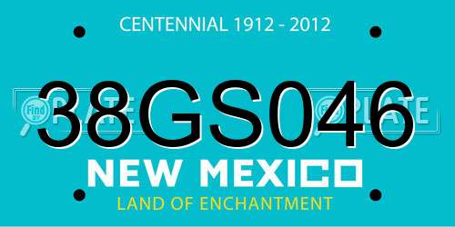 38GS046 New Mexico License Plate