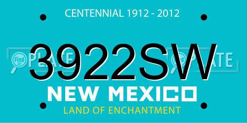 3922SW New Mexico License Plate