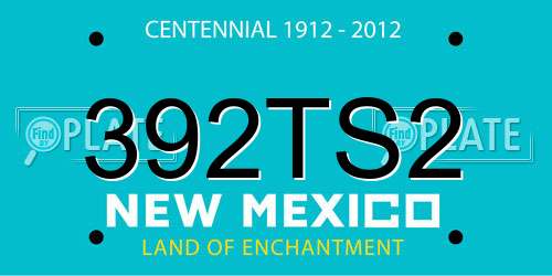 392TS2 New Mexico License Plate