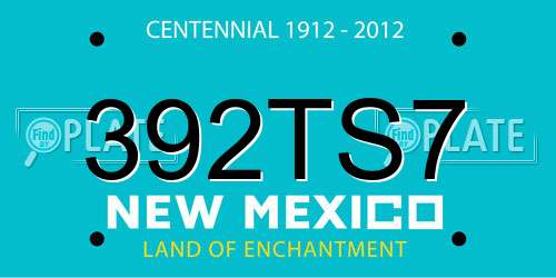 392TS7 New Mexico License Plate