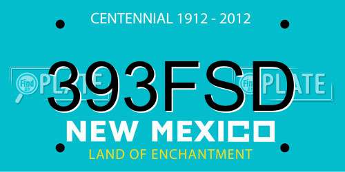 393FSD New Mexico License Plate