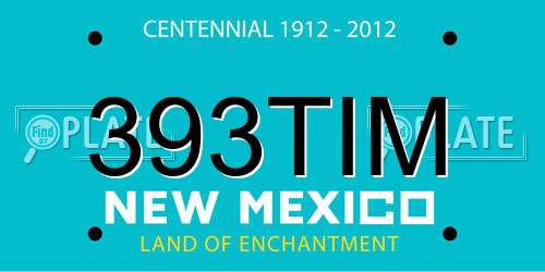 393TIM New Mexico License Plate