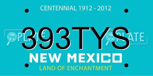393TYS New Mexico License Plate