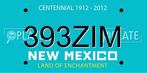 393ZIM New Mexico License Plate