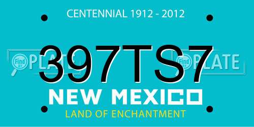 397TS7 New Mexico License Plate