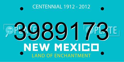 3989173 New Mexico License Plate