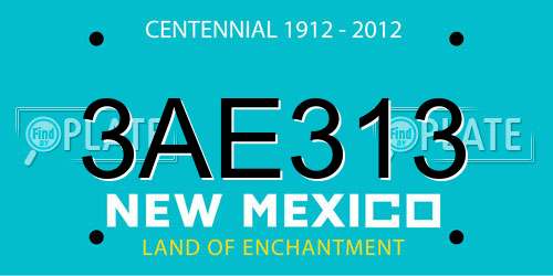 3AE313 New Mexico License Plate