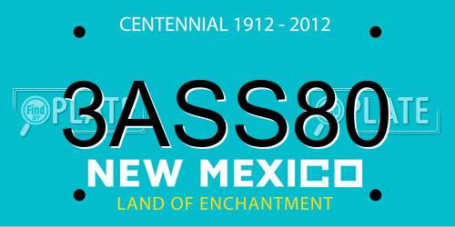 3ASS80 New Mexico License Plate
