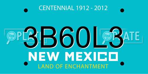 3B60L3 New Mexico License Plate