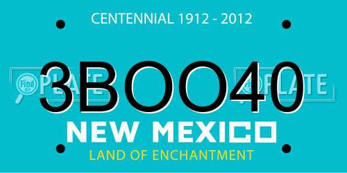 3BOO40 New Mexico License Plate