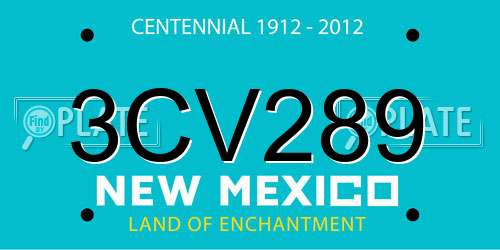 3CV289 New Mexico License Plate