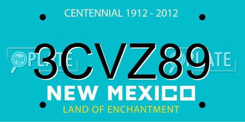 3CVZ89 New Mexico License Plate