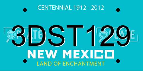 3DST129 New Mexico License Plate