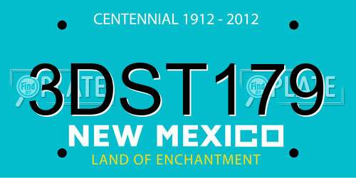 3DST179 New Mexico License Plate