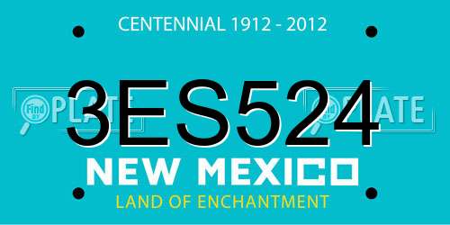 3ES524 New Mexico License Plate