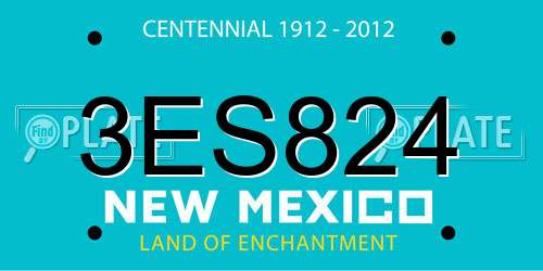 3ES824 New Mexico License Plate