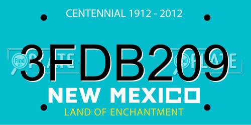 3FDB209 New Mexico License Plate