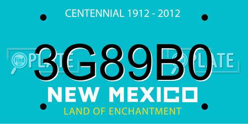 3G89B0 New Mexico License Plate
