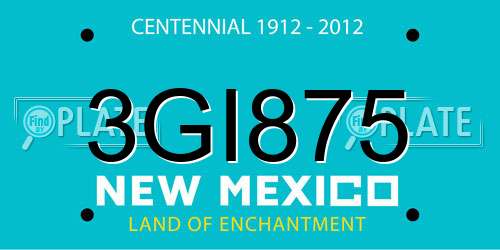 3GI875 New Mexico License Plate