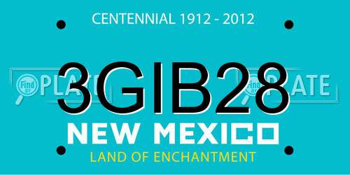 3GIB28 New Mexico License Plate
