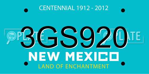 3GS920 New Mexico License Plate