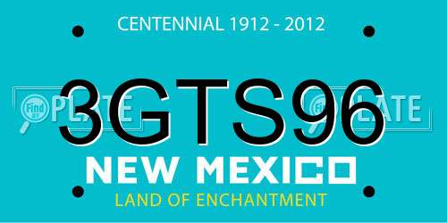 3GTS96 New Mexico License Plate