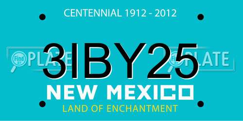 3IBY25 New Mexico License Plate