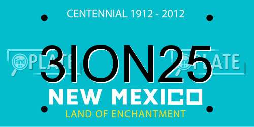 3ION25 New Mexico License Plate
