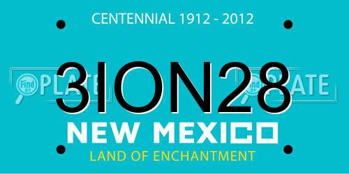3ION28 New Mexico License Plate