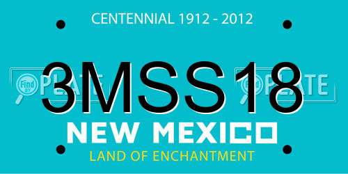 3MSS18 New Mexico License Plate