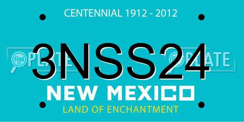 3NSS24 New Mexico License Plate