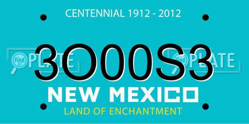 3O00S3 New Mexico License Plate