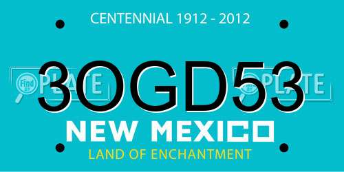 3OGD53 New Mexico License Plate