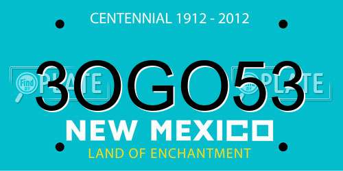 3OGO53 New Mexico License Plate