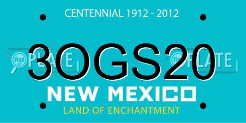 3OGS20 New Mexico License Plate